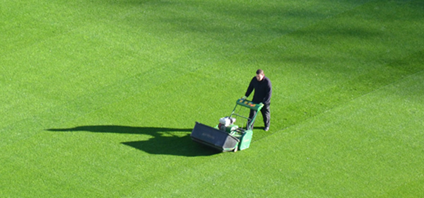 beard trimmer lawn mower